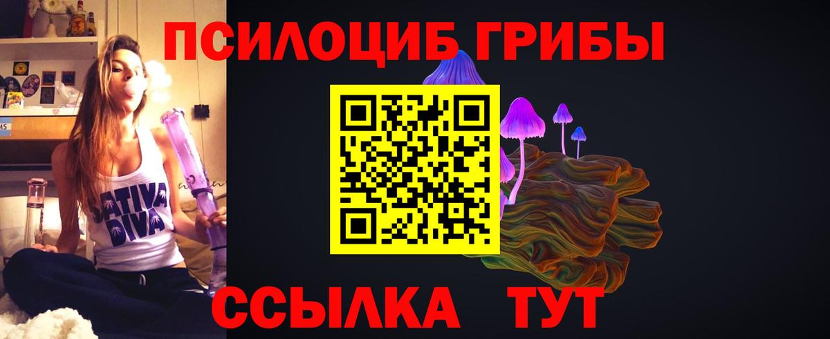 Псилоцибиновые грибы Psilocybine cubensis  Вход с VPN  Краснознаменск  Псилоцибиновые грибы ЛСД 